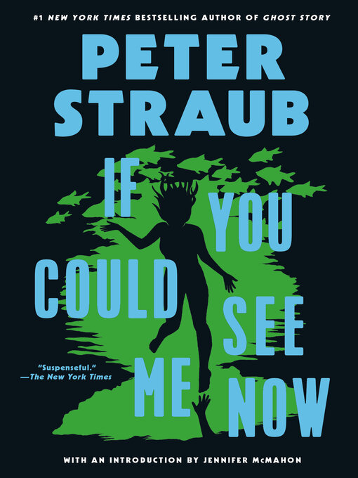 Cover image for If You Could See Me Now